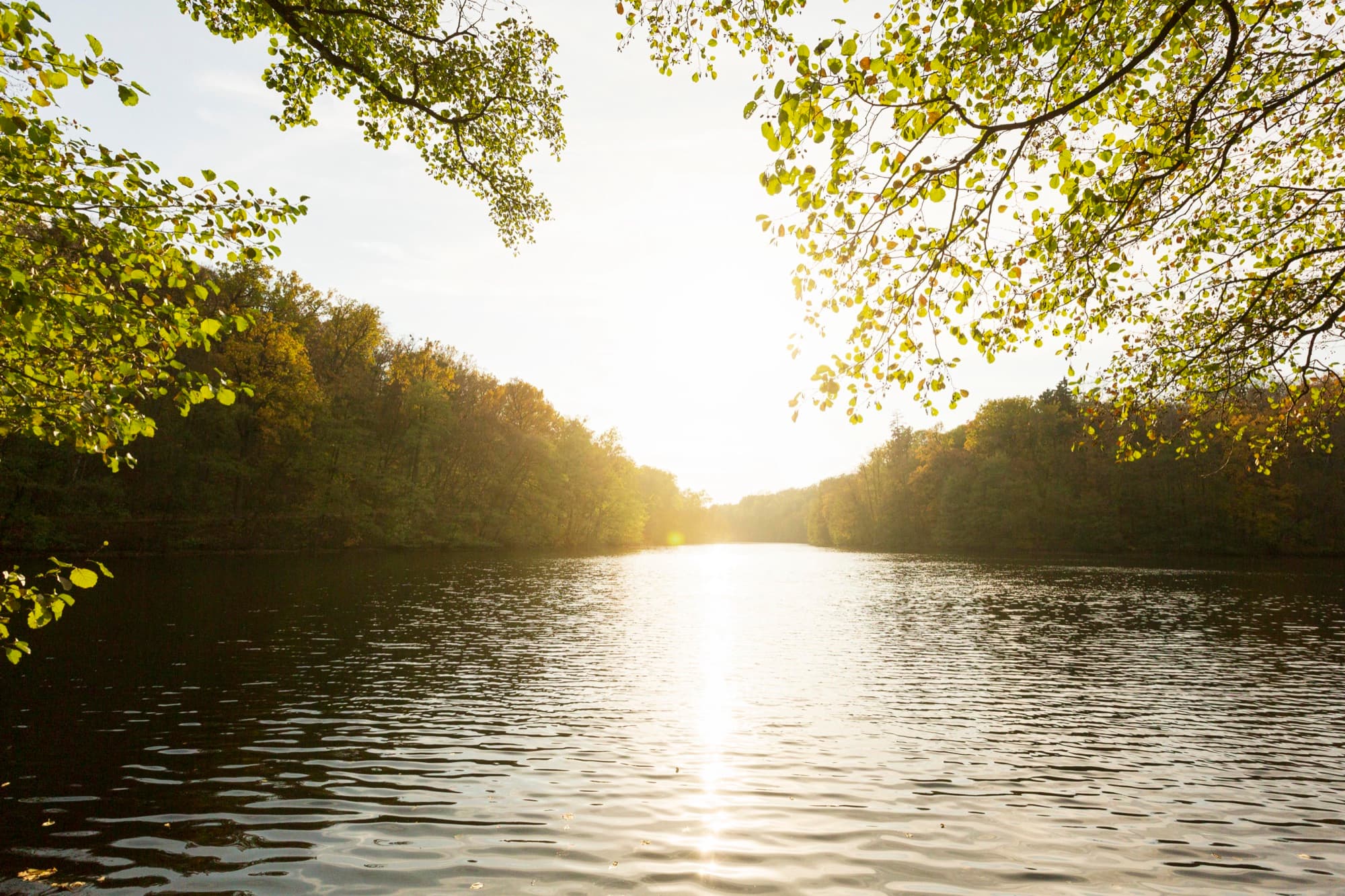 Riverside Stillness
